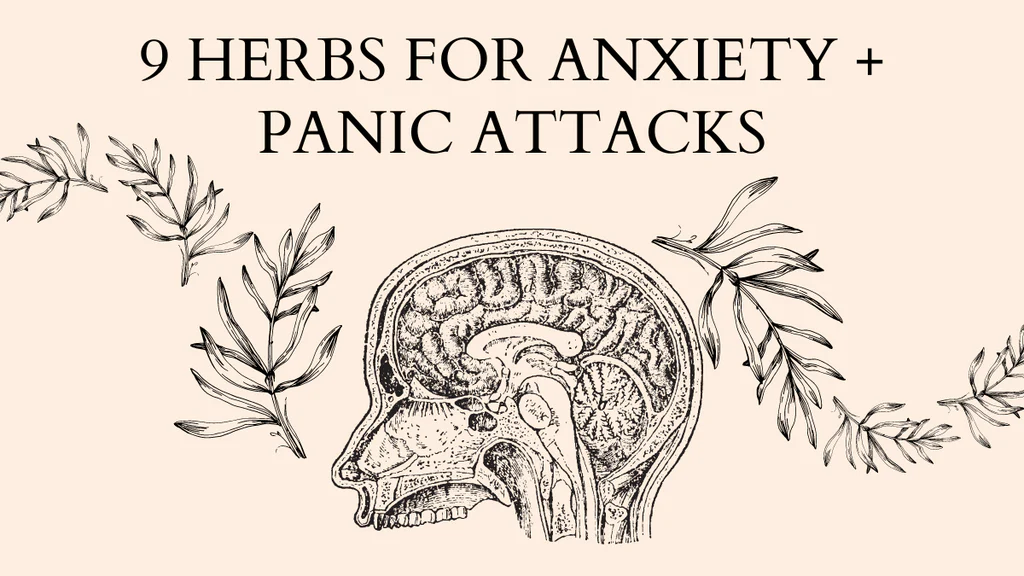 Calm Down: 9 Herbs for anxiety + panic attacks