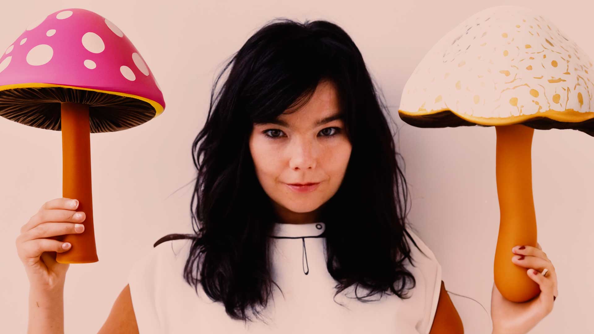 Dear Sir David Attenborough, Björk has Entered the Chat